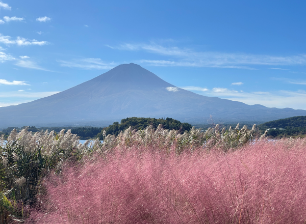 日本で唯一のストレスケア研修講師タニカワ久美子